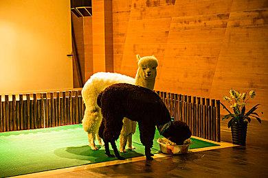 《星刃》女主有物理抖动效果：很自然的表现